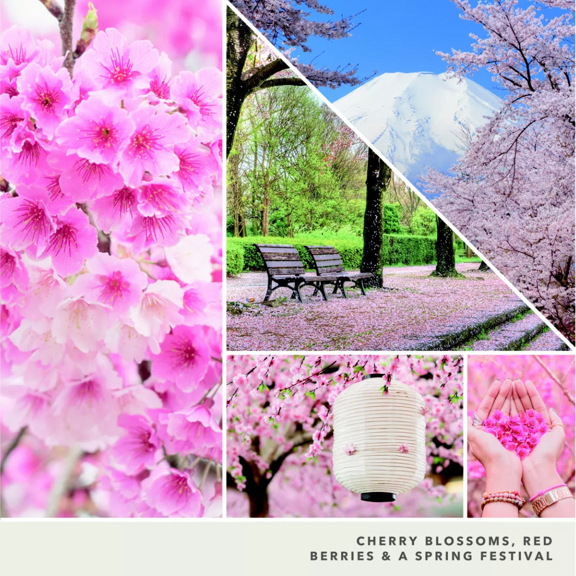 Yankee Candle Signature Small Tumbler Candle, 1- Wick (4.3oz) - Sakura Blossom Festival