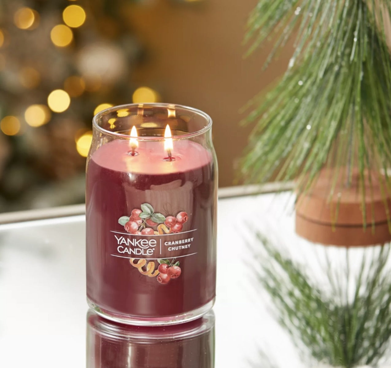 Yankee Candle Signature Large Jar Candle, 2-wicks (20oz) - Cranberry Chutney