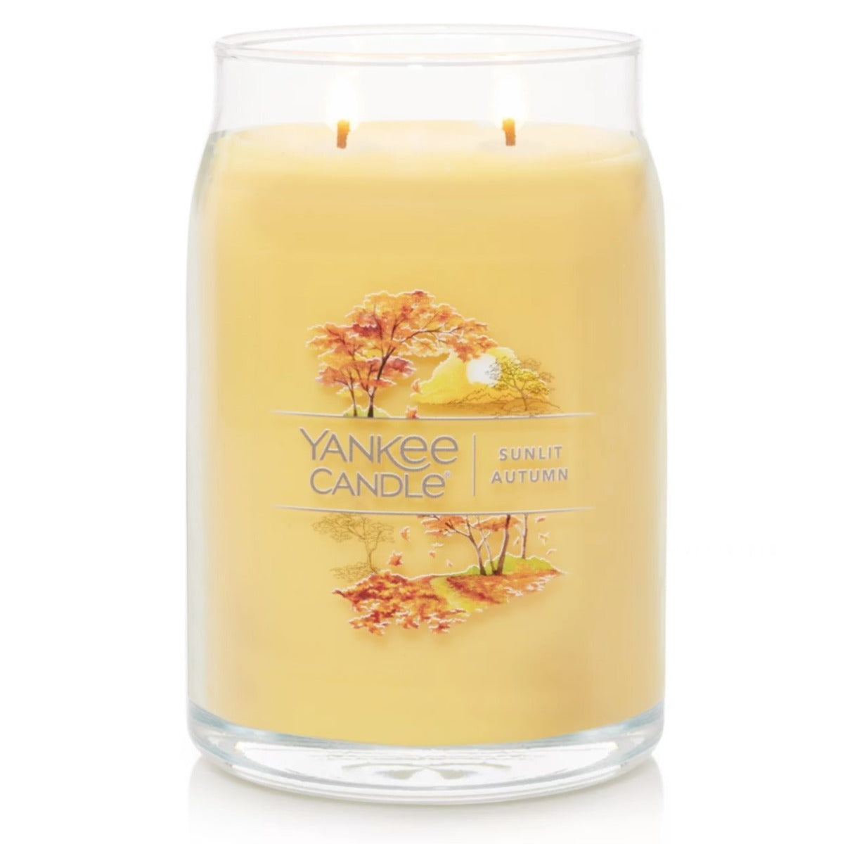 Yankee Candle Signature Large Jar Candle, 2-wicks (20oz) - Sunlit Autumn
