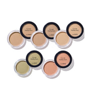 The Saem Cover Perfection Pot Concealer,6g (4 Shades)