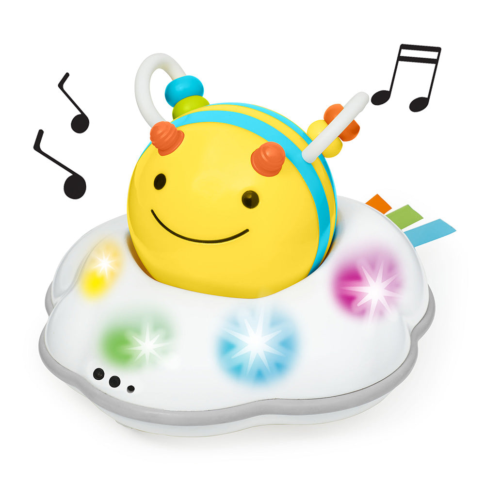 Skip Hop Explore & More Follow Me Crawl Toy