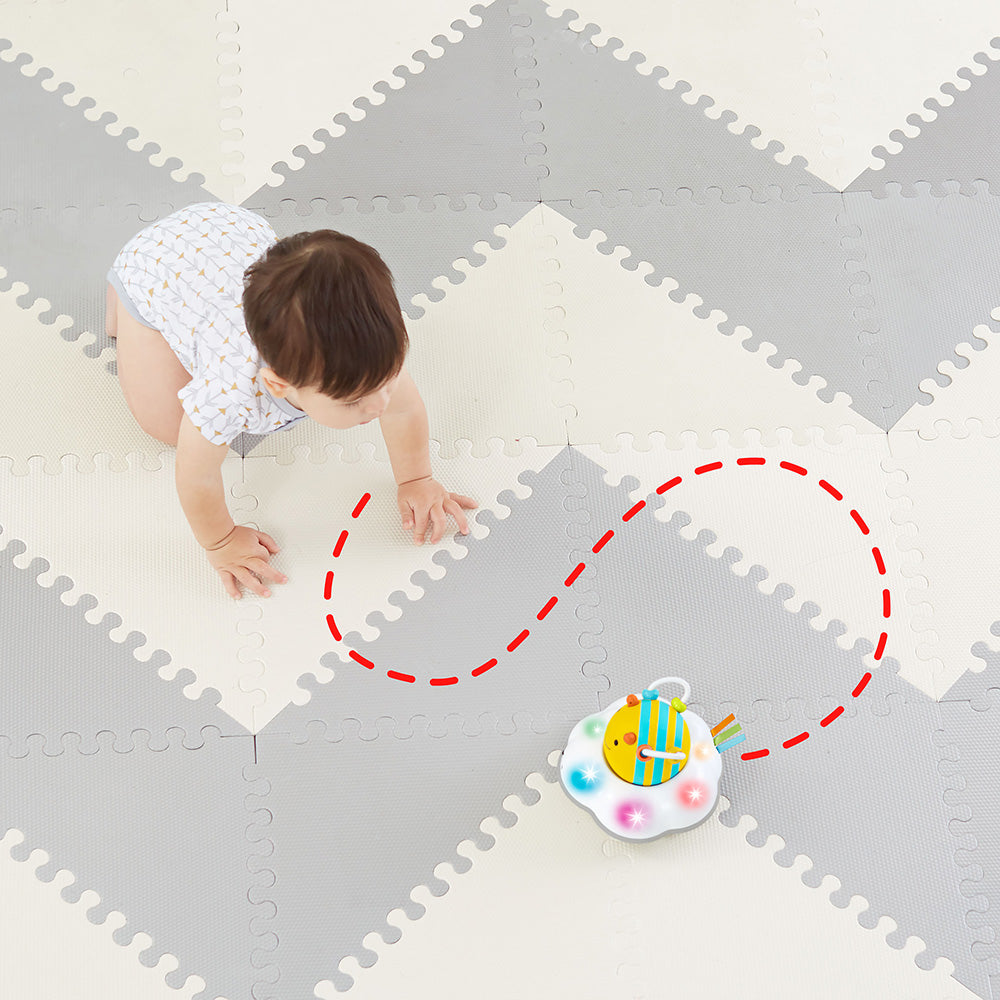 Skip Hop Explore & More Follow Me Crawl Toy