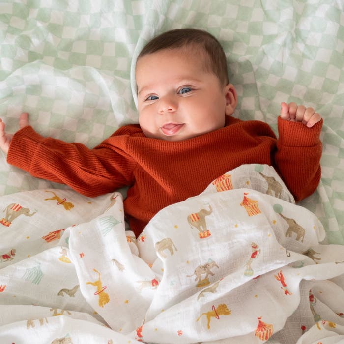 Aden Anais Essentials Muslin Cotton Swaddle (44 x 44 in), 4pk (31 Designs) - Pupsik Singapore