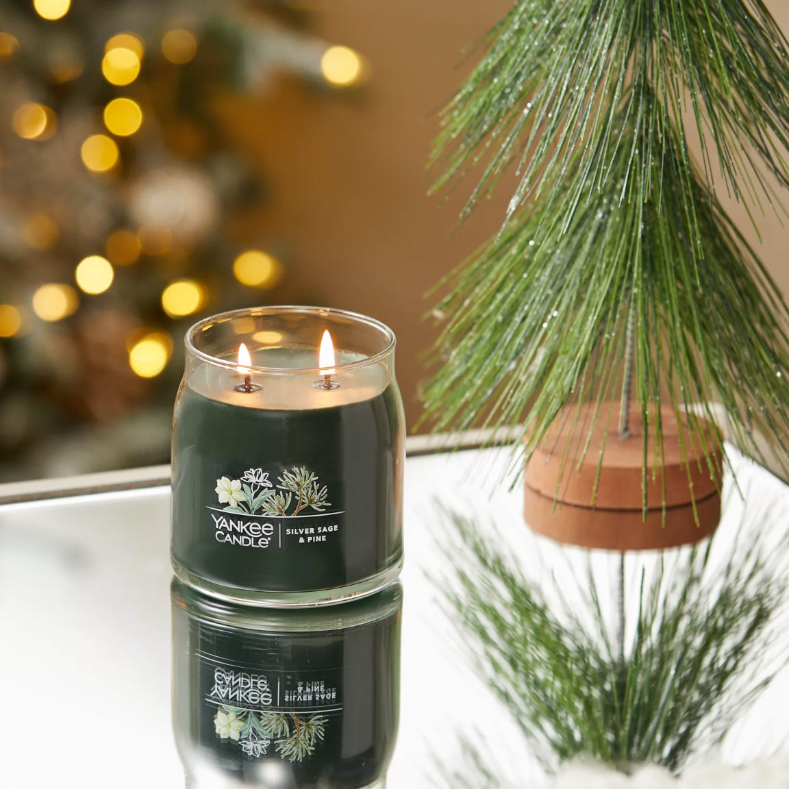 Yankee Candle Signature Medium Jar Candle, 2-wicks (13oz) - Silver Sage & Pine