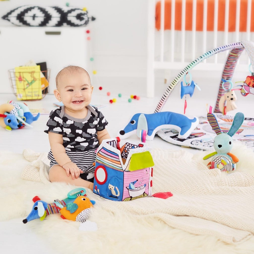 Skip Hop Vibrant Village Smart Lights Activity Gym