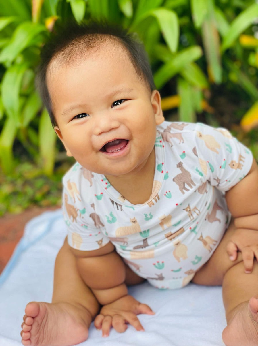 A, Apple Pie Bamboo Baby Short Sleeve Onesie - Llamas & Cacti (5 Sizes)