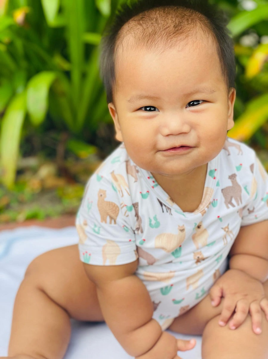 A, Apple Pie Bamboo Baby Short Sleeve Onesie - Llamas & Cacti (5 Sizes)