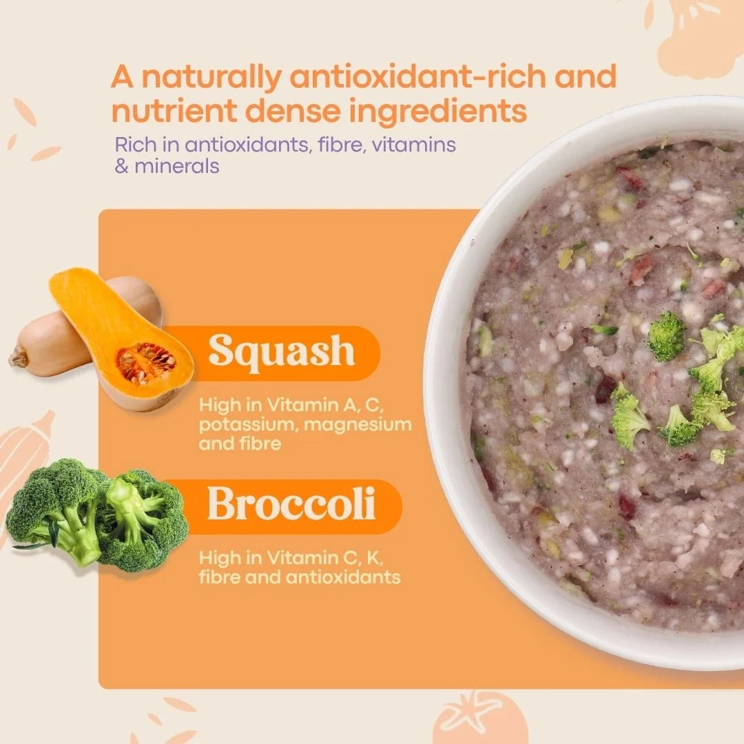 AVIA Berry Quick Porridge, 2pks/box - Squash & Broccoli (Exp 07/28) | SG Homemade