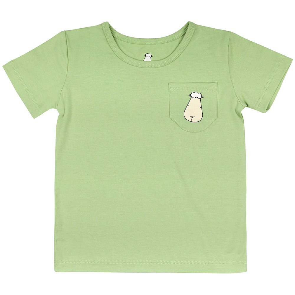 Baa Baa Sheepz Short Sleeve T-Shirt & Shorts - Mint (5 Sizes)