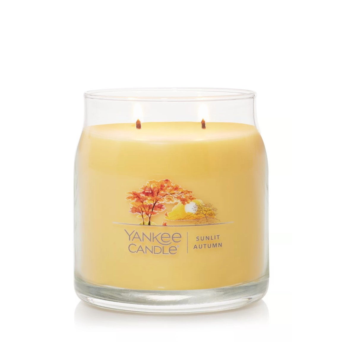 Yankee Candle Signature Medium Jar Candle, 2-wicks (13oz) - Sunlit Autumn