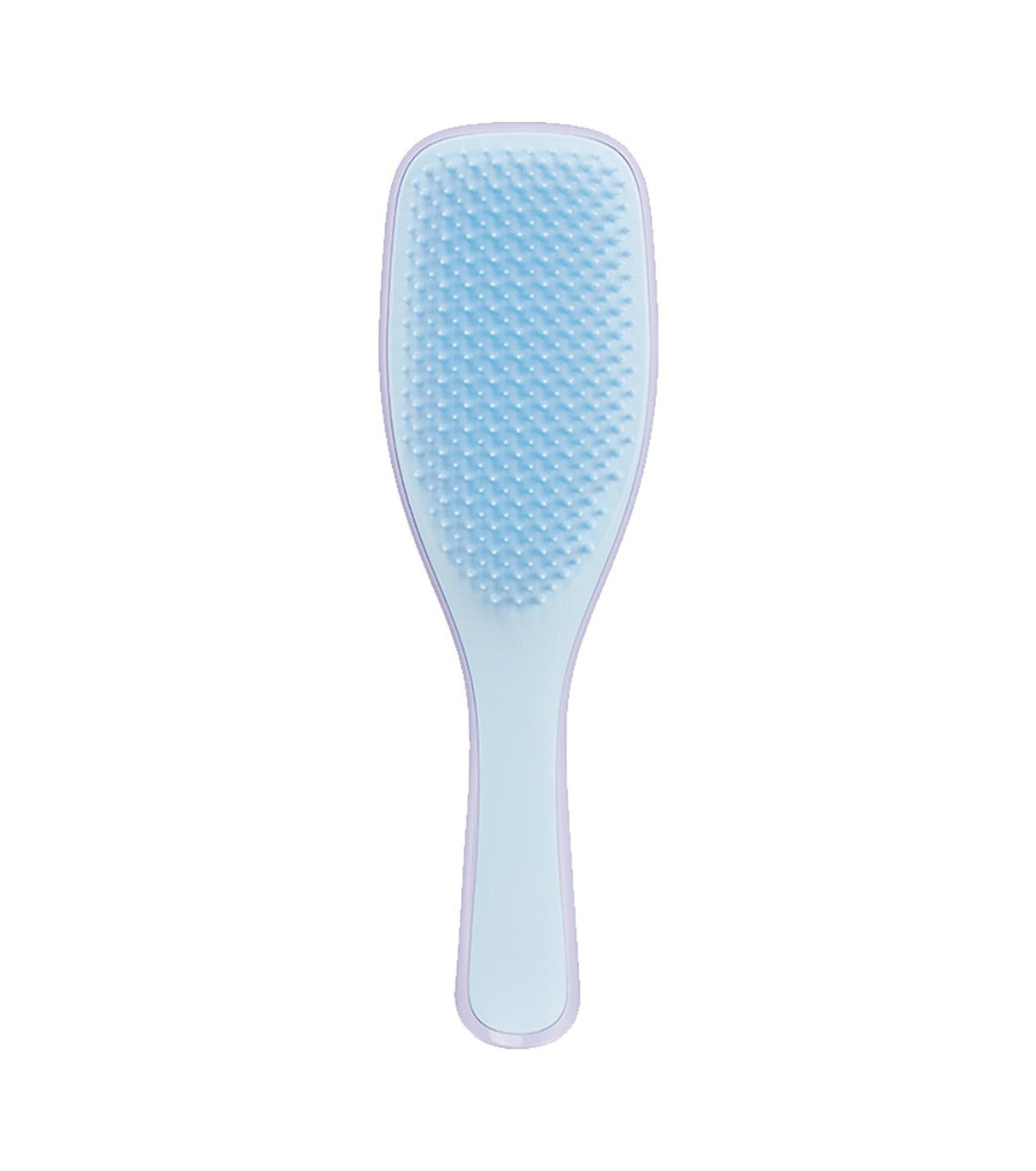 Tangle Teezer The Ultimate Detangler Regular Hairbrush, Straight & Curly (29 Colours) - Pupsik Singapore
