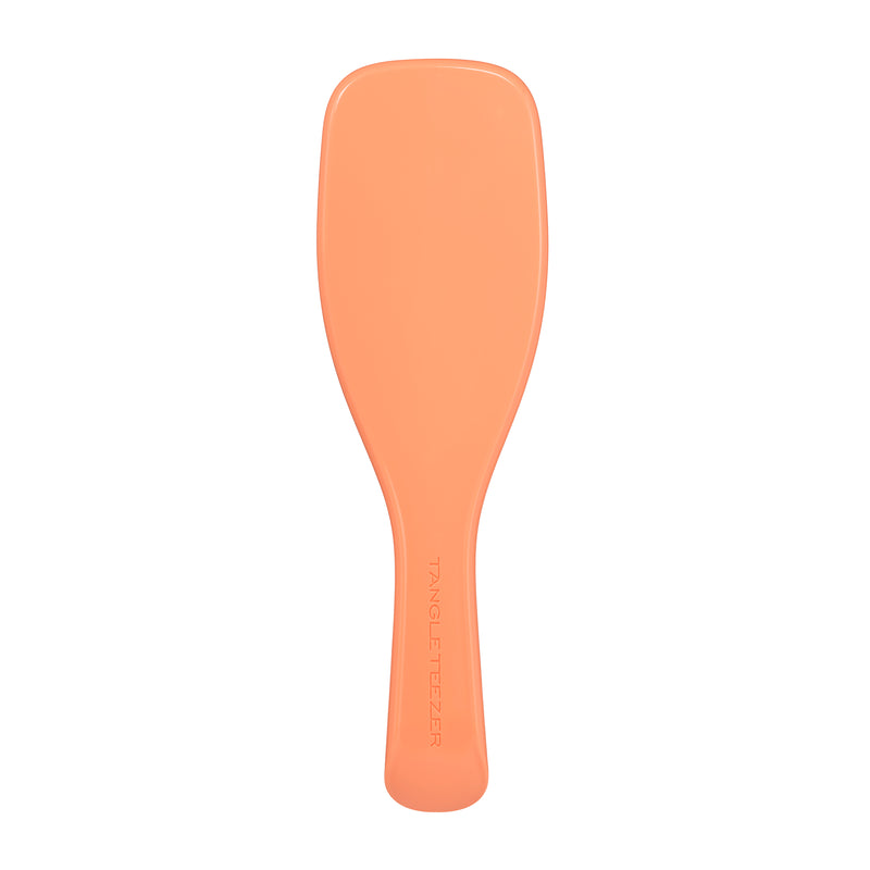Tangle Teezer The Ultimate Detangler Regular Hairbrush, Fine & Fragile (6 Colors) - Pupsik Singapore