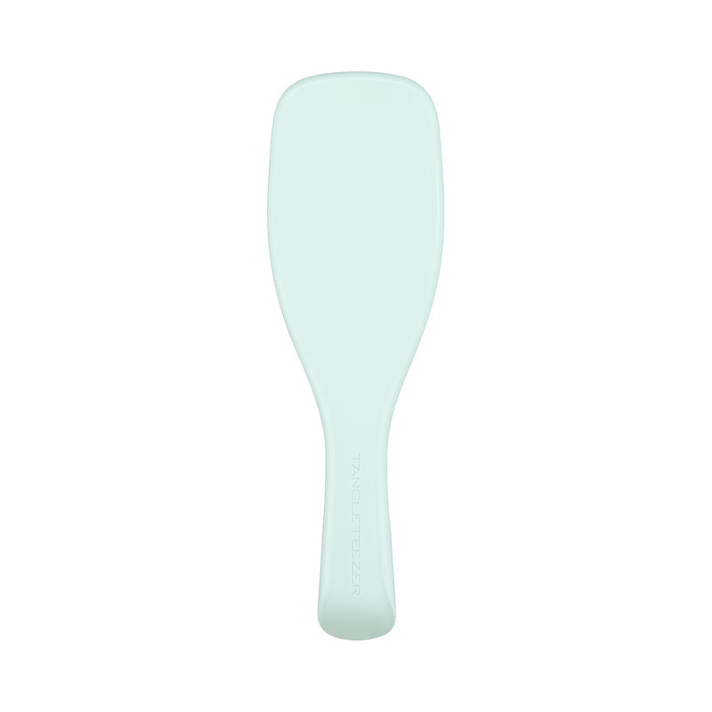 Tangle Teezer The Ultimate Detangler Regular Hairbrush, Fine & Fragile (6 Colors) - Pupsik Singapore