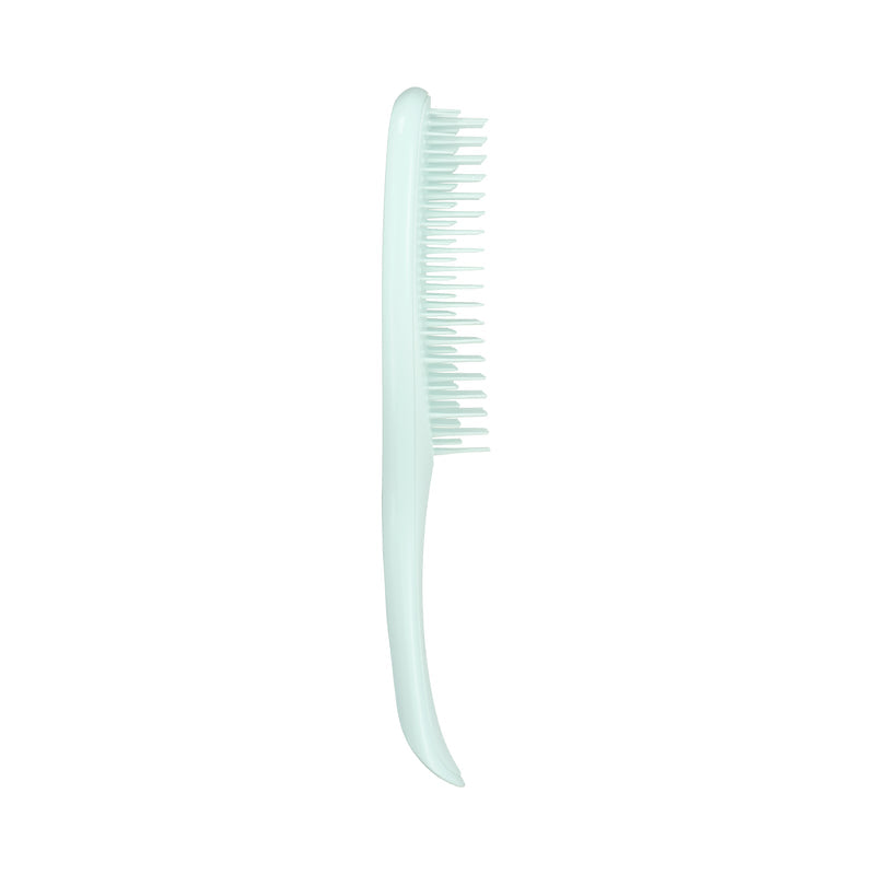 Tangle Teezer The Ultimate Detangler Regular Hairbrush, Fine & Fragile (6 Colors) - Pupsik Singapore