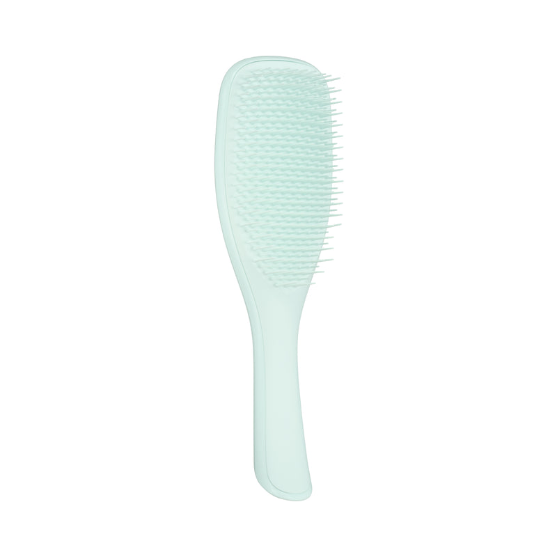 Tangle Teezer The Ultimate Detangler Regular Hairbrush, Fine & Fragile (6 Colors) - Pupsik Singapore
