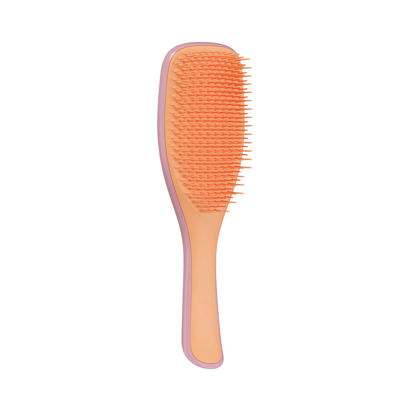 Tangle Teezer The Ultimate Detangler Regular Hairbrush, Straight & Curly (29 Colours) - Pupsik Singapore