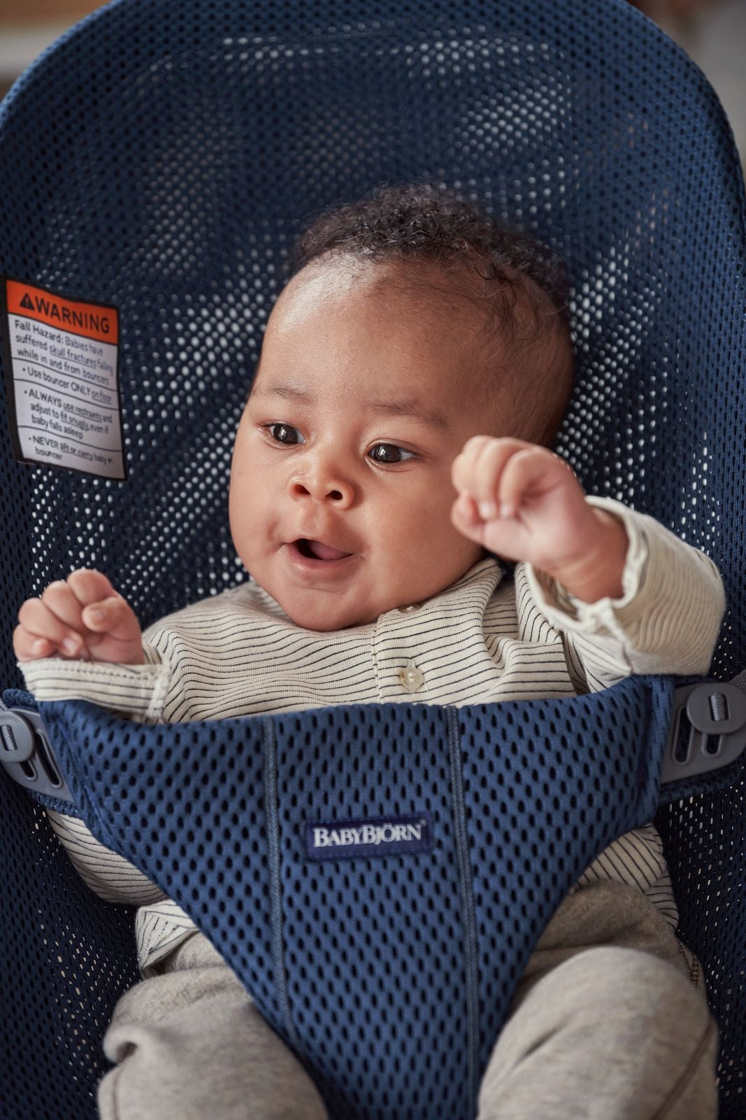 Baby Bjorn Bouncer Bliss Mesh (10 Designs) - Pupsik Singapore