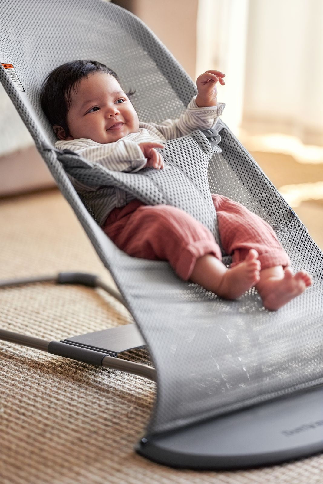 Baby Bjorn Bouncer Bliss Mesh (10 Designs) - Pupsik Singapore