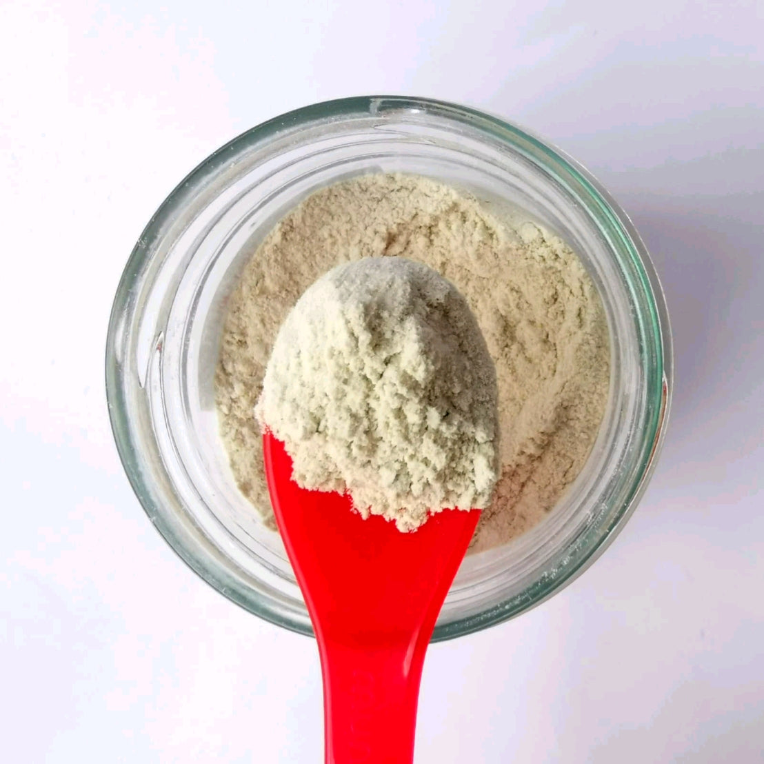 SG Homemade Whitebait Powder, 40g (Exp 08/26)