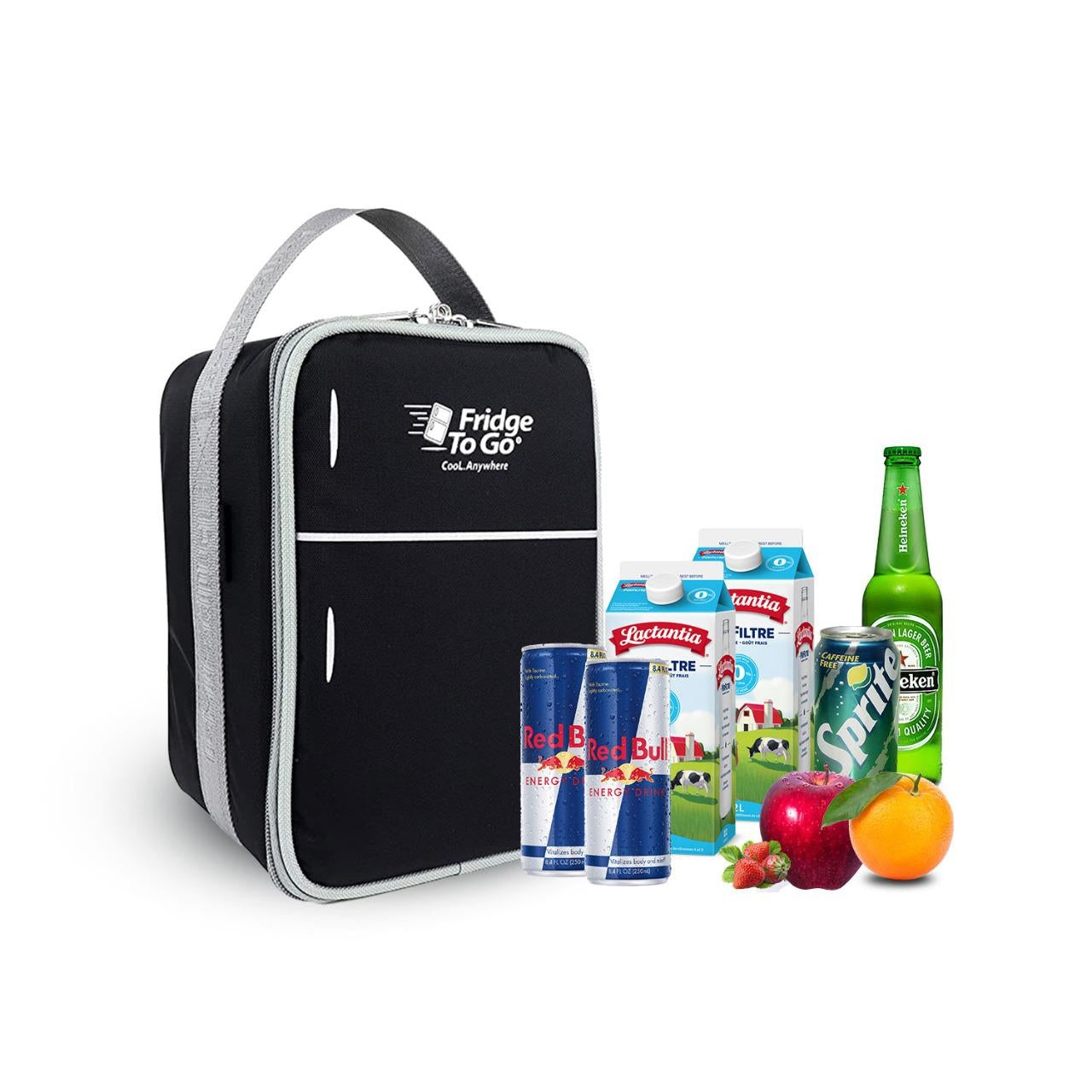 Fridge-To-Go Mini Fridge 6 Cooler Bag - Black (8 Panels)
