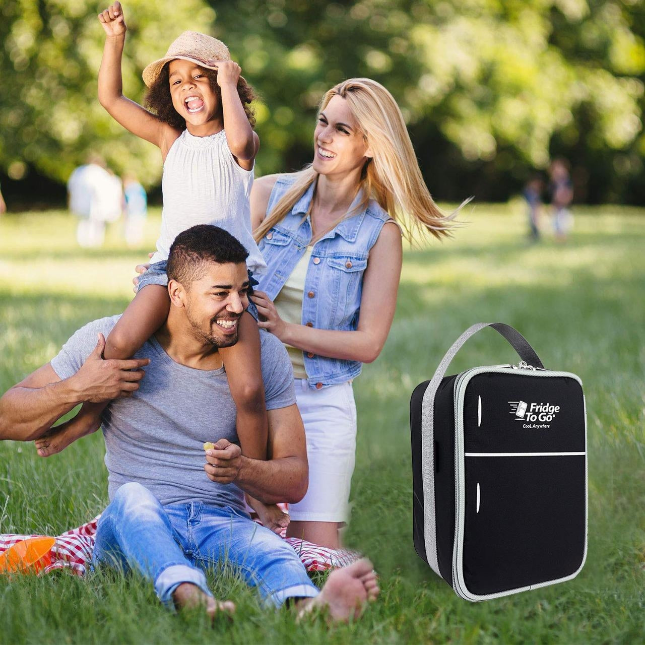Fridge-To-Go Mini Fridge 6 Cooler Bag - Black (8 Panels)