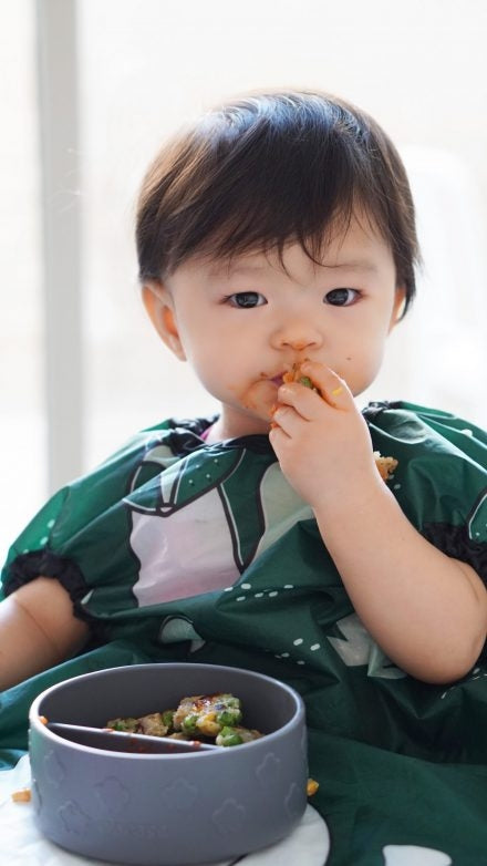 Grabease Allover Bib (5 Colours) - Pupsik Singapore